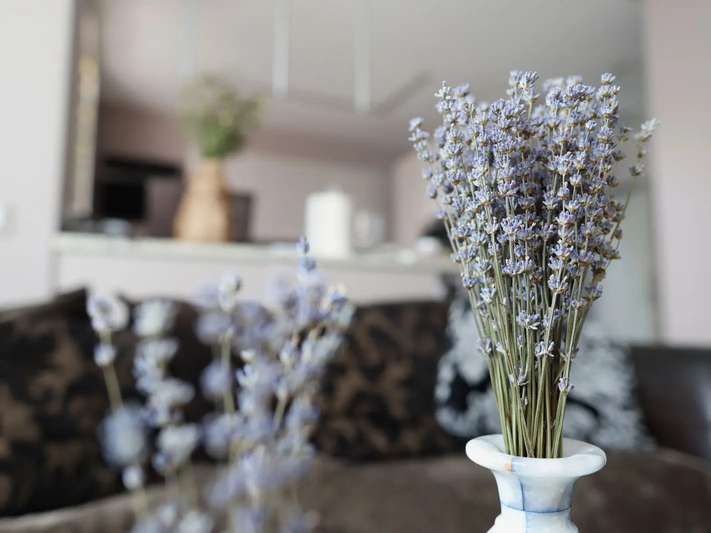 ABC calm lavendar 488333136