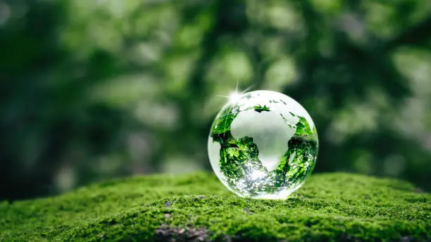 Our Sustainability Journey