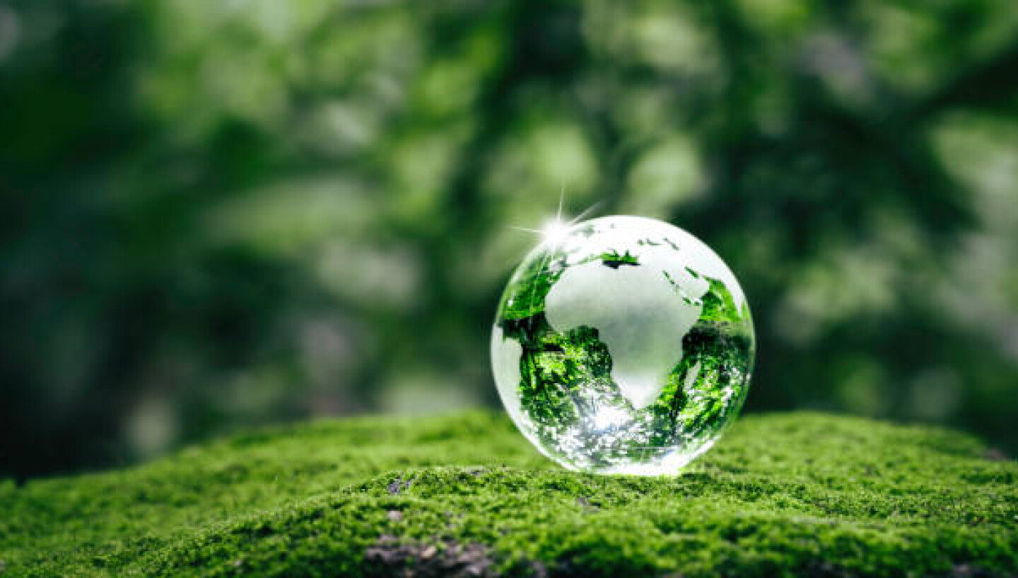 Our Sustainability Journey