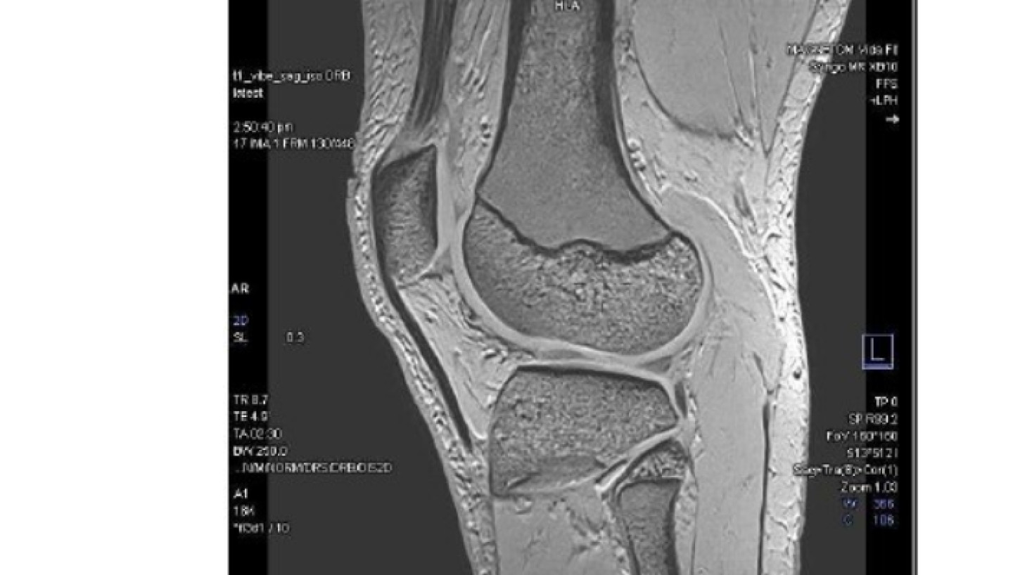 Untitled (800 x 400 px) (1)